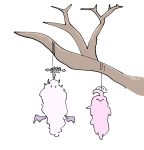 50公斤的希望-老婶的菜单 - 仅收录精品的小站