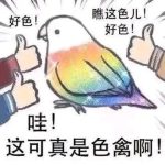fulldrive-老婶的菜单 - 仅收录精品的小站