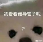酚奇-老婶的菜单 - 仅收录精品的小站